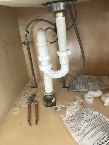 Professional Plumber