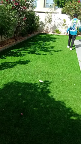 Landscaping gardening