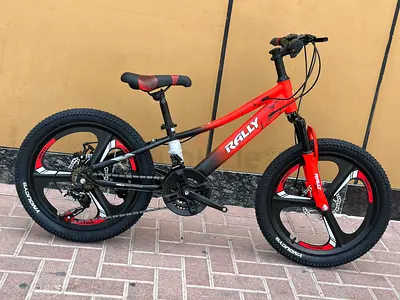 Rally 20 Mountain Bike for Sale