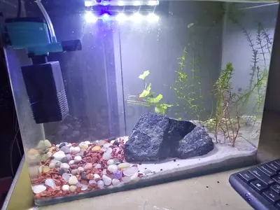 Aquarium for sale