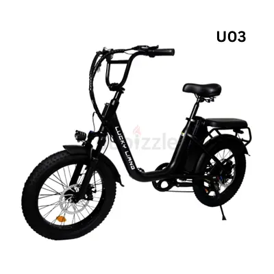 Lucky Land U03 Electric Bike
