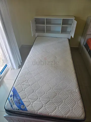 الشارقة المجاز٣