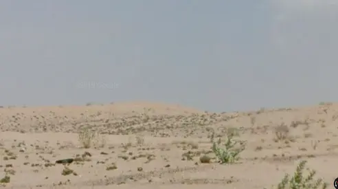 Industrial Land for Sale in Umm Al Thuoob Industrial Umm Al Quwain Prime Investment