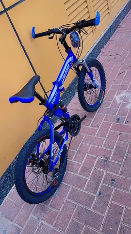 Blue Mountain Bike for Sale