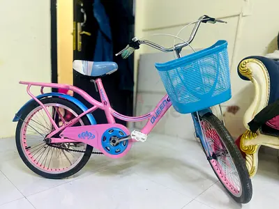 Kids Pink  Blue 16-inch Girls Bicycle with Basket and Rear Rack