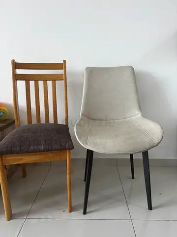 Stylish Dining Chairs