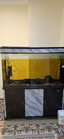 Fish aquarium