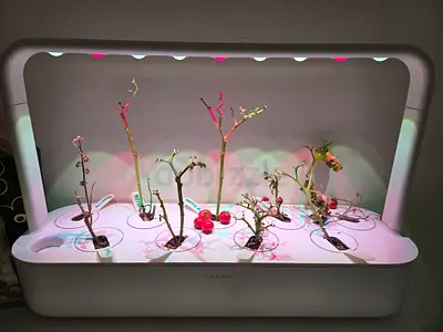 Indoor Hydroponic Garden System