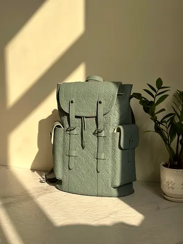 LV Backpack