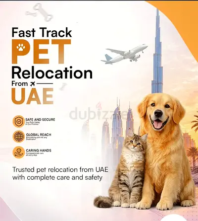 Pet Relocation Service from UAE