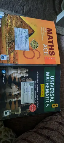 Two Grade 6 Maths Textbooks (Maths ACE  Universal Mathematics) - Used