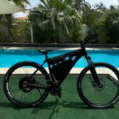 E-Bike MTB 29 inch conversion kit - complete and fully assembled.