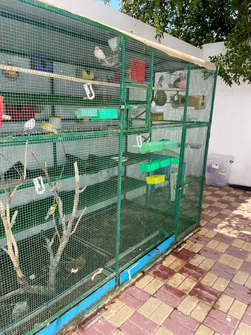 الشارقه رمله شرق