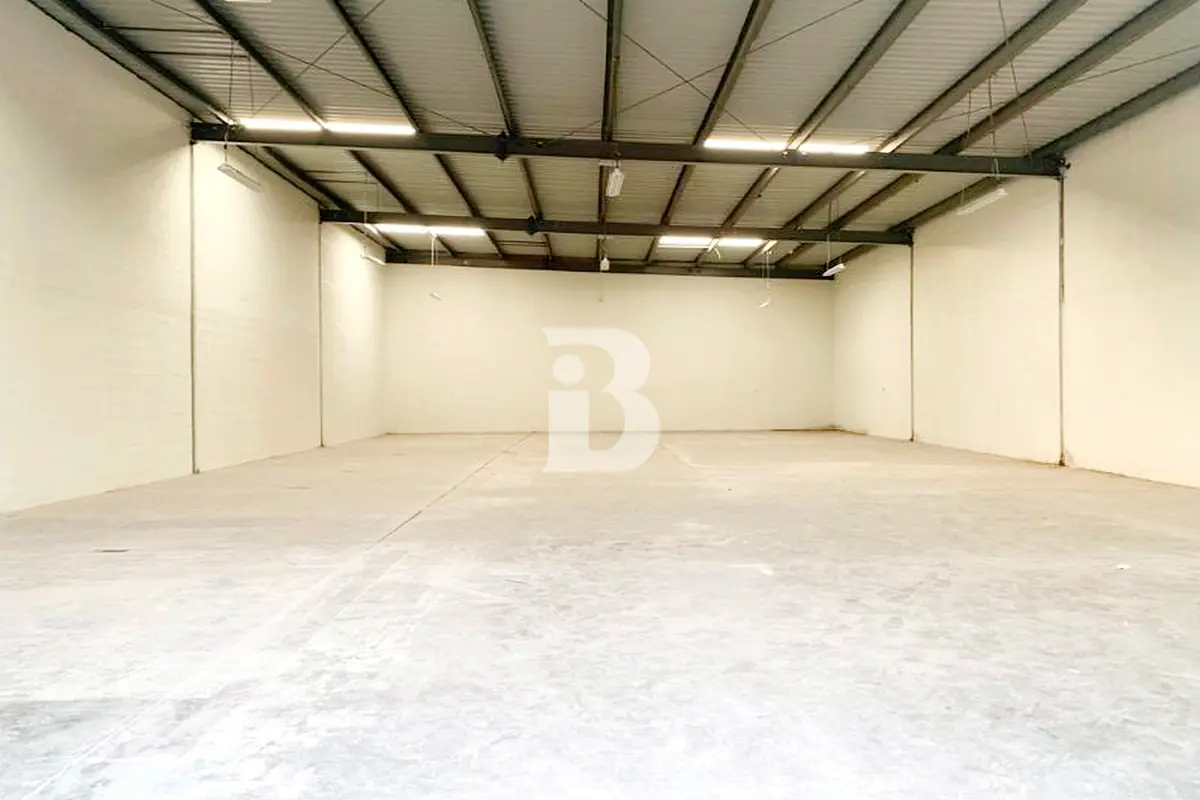 gallery-image