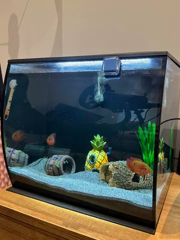 Aquarium with fish, Portable wet/dry vacuum cleaner with accessories - used, working