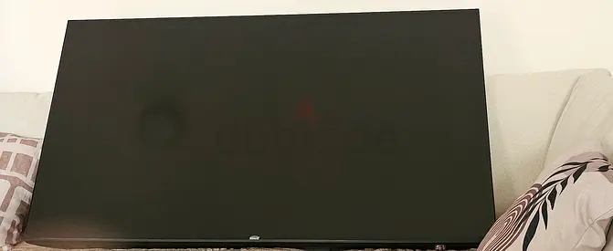 42-55 inch Flat Panel TV - Good Condition