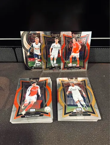 Panini Select 2024-25