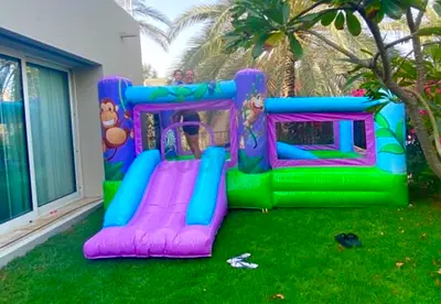 Inflatable bouncy castle