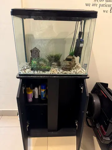 Aquarium with Stand and Supplies