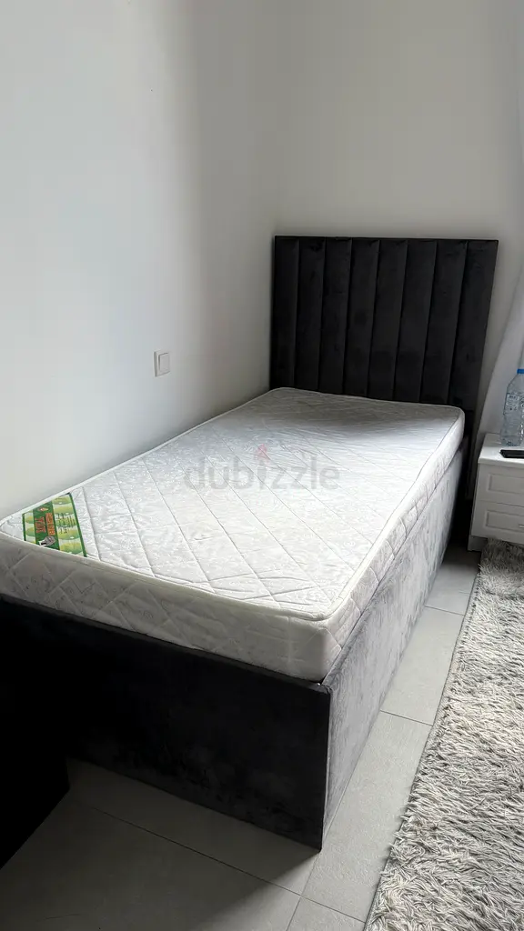 DPV_View_Image_1