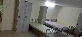 Bed space available for Bachelor