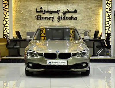 SERVICE HISTORY DATA AVAILABLE! BMW 318i ( 2016 Model ) in Brown Color GCC Specs