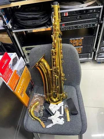 YGY Saxophone Tonor- Brand New