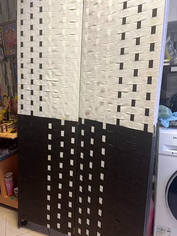 Plastic wall