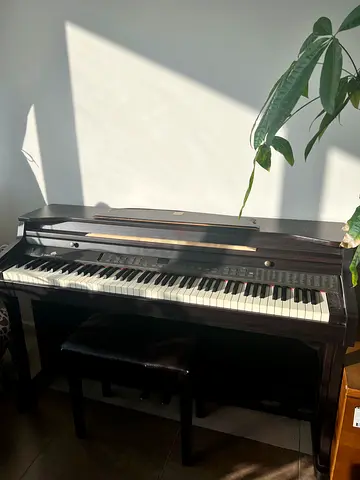 Dynatone DHP-600 piano