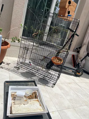 Large bird cage for sale