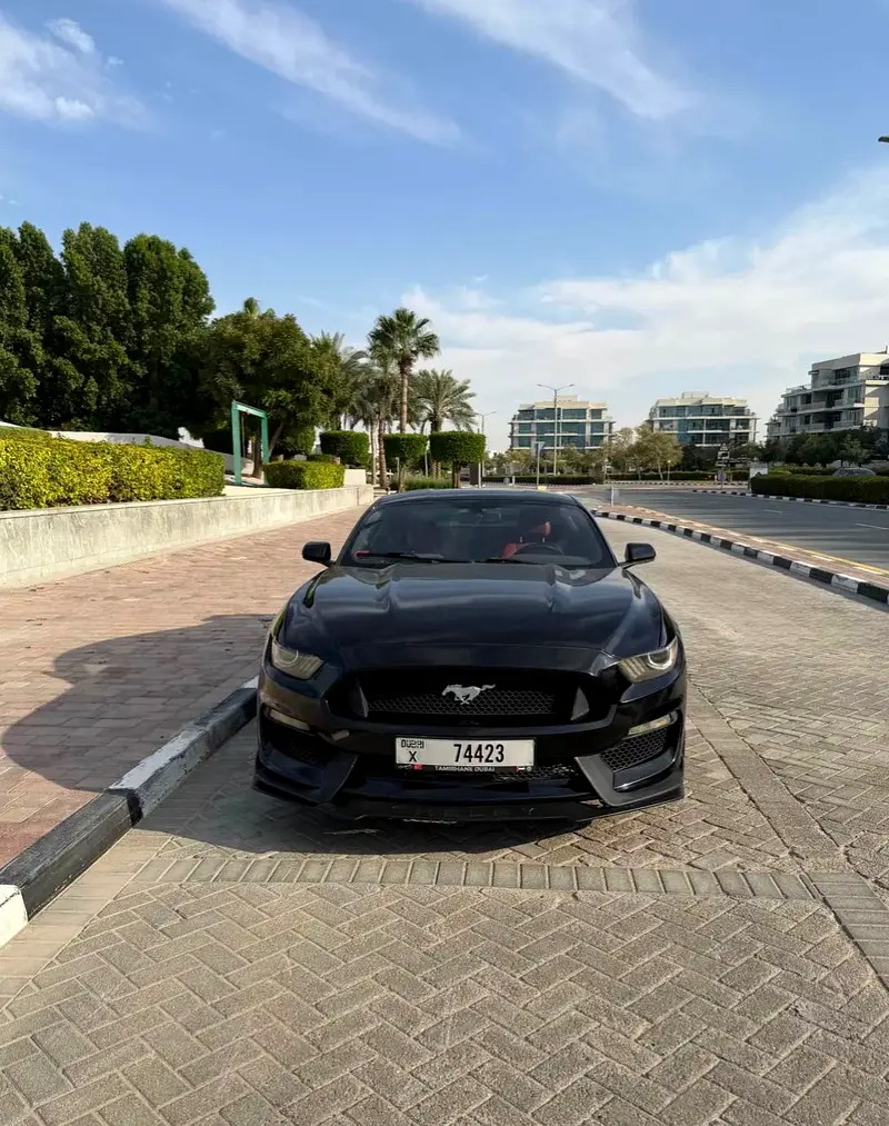 Ford Mustang 2015 — photo 1 of 6