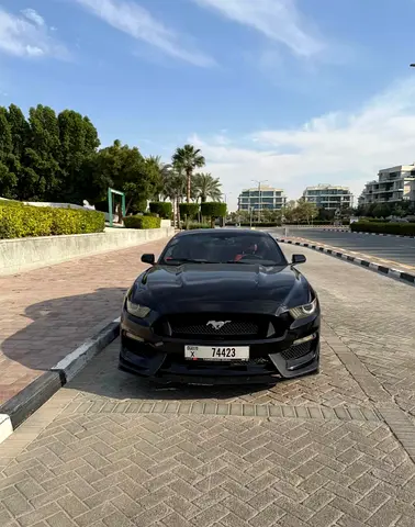 2015 Ford Mustang Ecoboost - American Specs