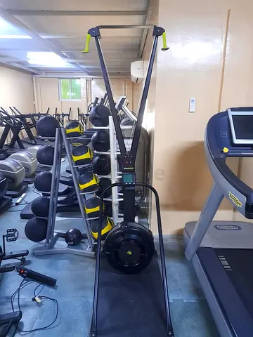 Concepts SkiErg rowing PM5