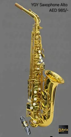 YGY Saxophone Alto  - Brand New