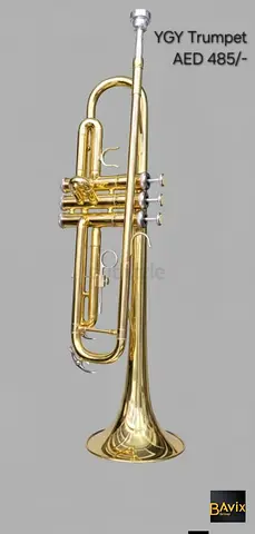 YGY Trumpet Alto- Brand New