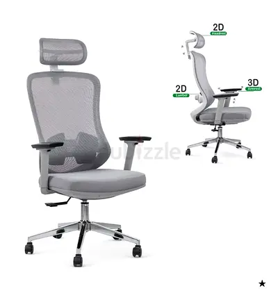 Ergonomic Grey Mesh Office Chair with Headrest - Adjustable Lumbar  Armrests