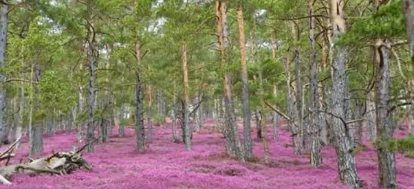 Private 1:1 Conversation Sessions for Men (60 mins, AED 500)