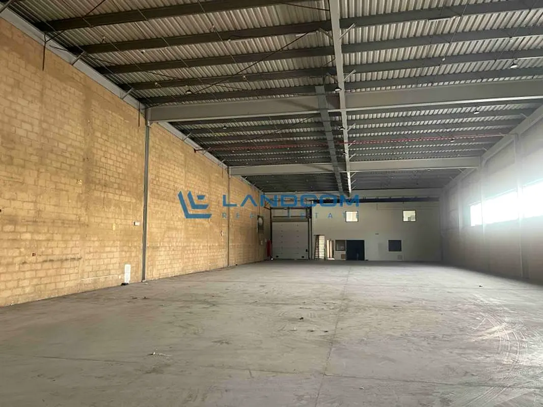 gallery-image
