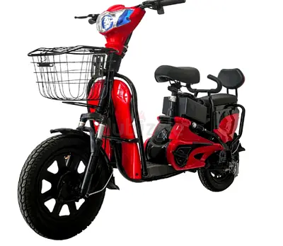 Wind Horse Electric Bike- 12 Montgs Warranty