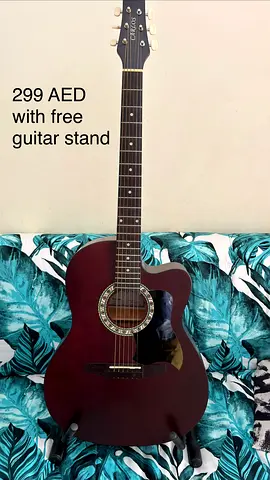 Acoustic Guitar- Includes Stand, Good Working Condition