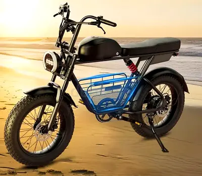 Electric Bike Wind Horse- D5- 1 Year Warranty