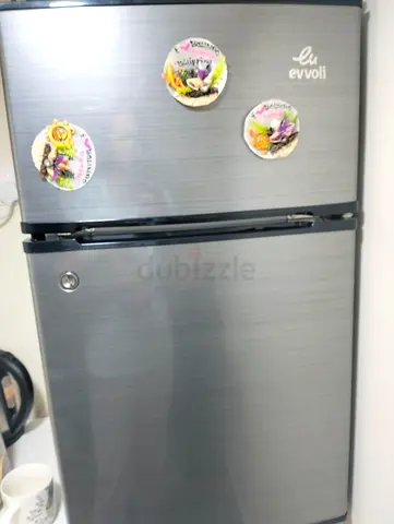 Evolvi Silver Refrigerator for Sale