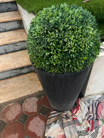 2 piece Artificial Topiary Ball in Tall Black Planter - Ready for Patio/Entry