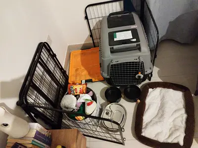 Bundle of dog supplies: metal playpen, carrier, bed, bowls and accessories