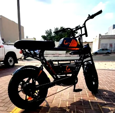 Kugoo Electric Scooter - T31