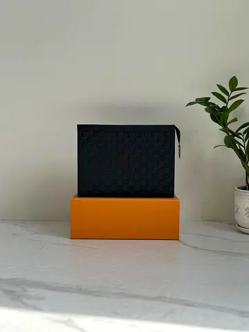 Louis Vuitton pouch