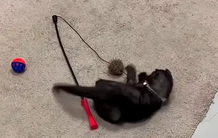 بوظبي مدينة الرياض