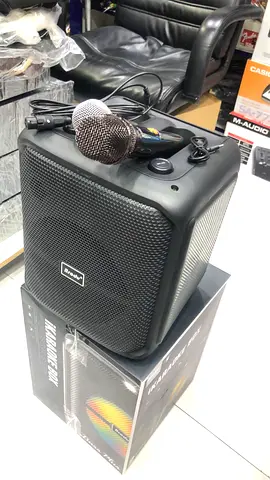 Wireless Karaoke Box Speaker with 2 Microphones - Brand New