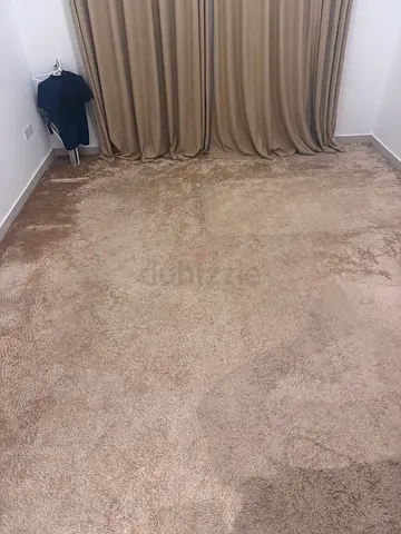 Carpet