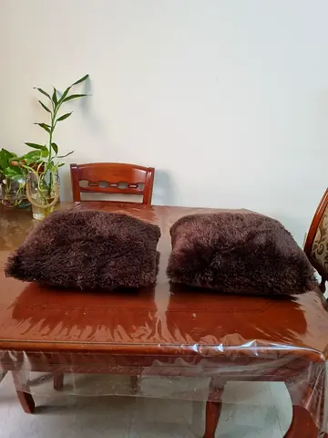 2 Soft  cushions